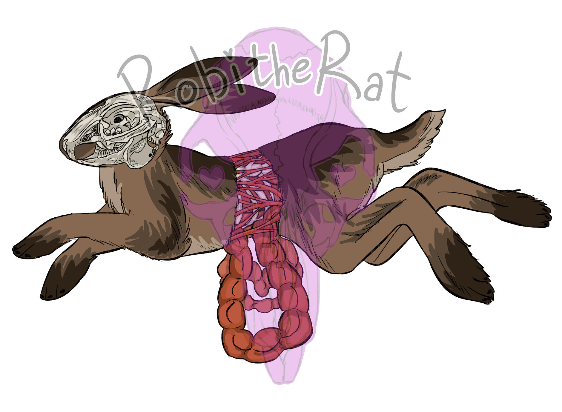 A digital drawing of a brown hare. It has been separated into two parts, with it's intestines and other innards spilling out. It's face has also been replaced with a rabbit skull.